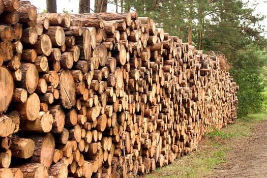 Woodpile 01