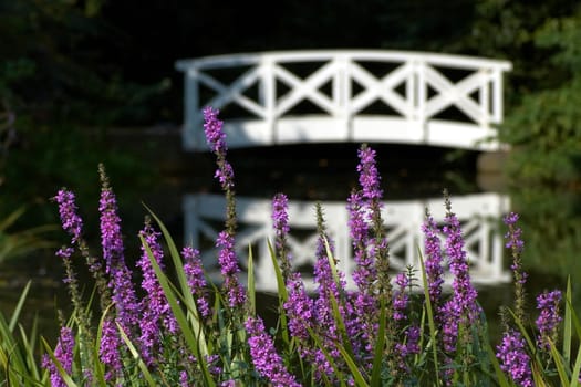 Impression from the castle park in Schwetzingen