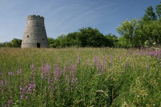 In the vernacular,this remnant of a windmill is called "sour cabbage mockery""."