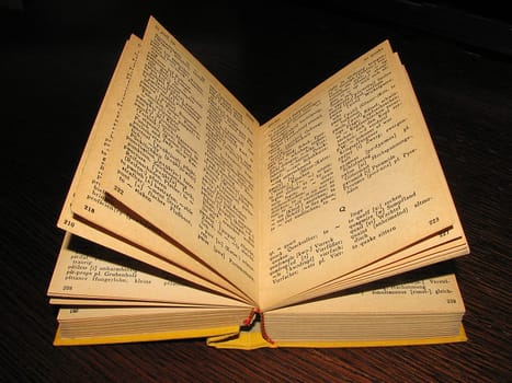 A dictionary from ancient times. It's made of paper,you can touch it and it works without a mouse and can use it indefinitely even without a flat rate  -)