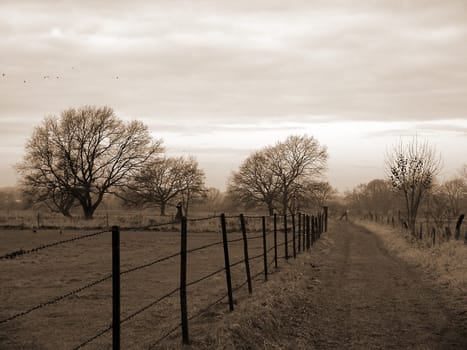 Dirt road