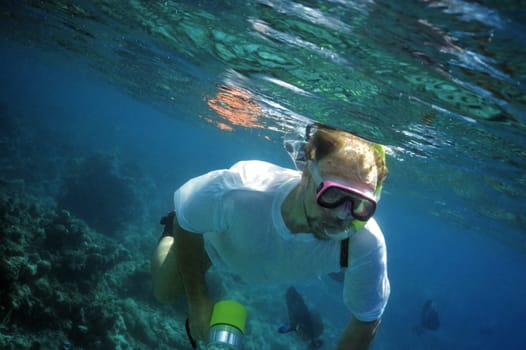 Snorkeler