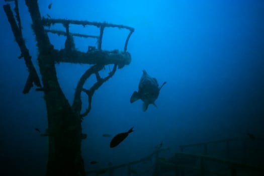 At the Halaveli wreck