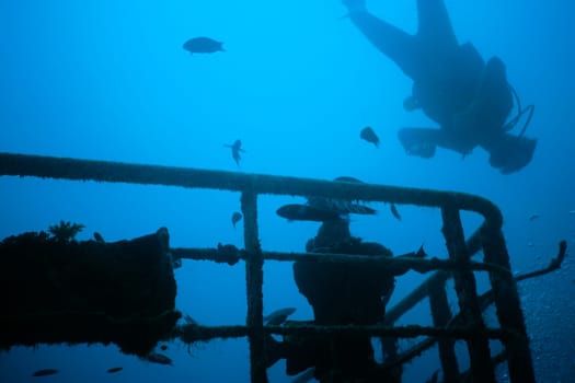 At the Halaveli wreck