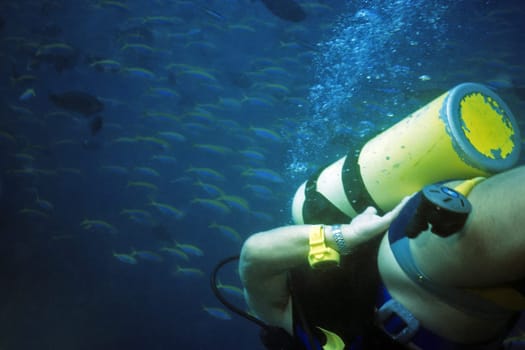 Dive Maldives
