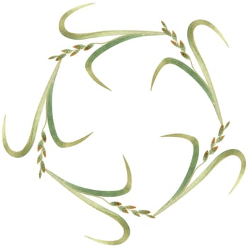 Wreath of wild grasses, cereals, ears and leaves. Decor for graphic design, printing and packaging. Isolated hand-drawn watercolor illustration.
