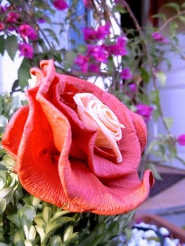 Paper rose