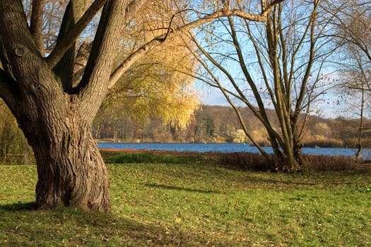 Am Ufer 01