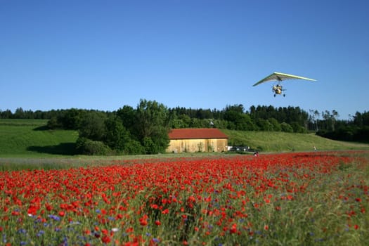 Hang glider