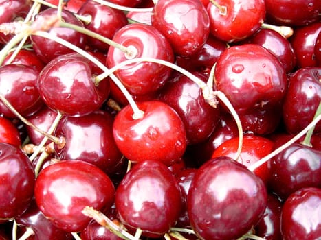 As a rule,sour cherries are more unpretentious than sweet cherries. All types of noble varieties are ideal for fresh consumption. Cherry leaves are sometimes used in pickling vegetables,e.g. for salted cucumbers. In Japan,the volatile K