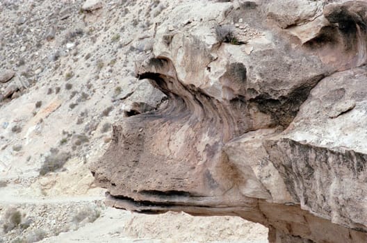 Monkey Rock