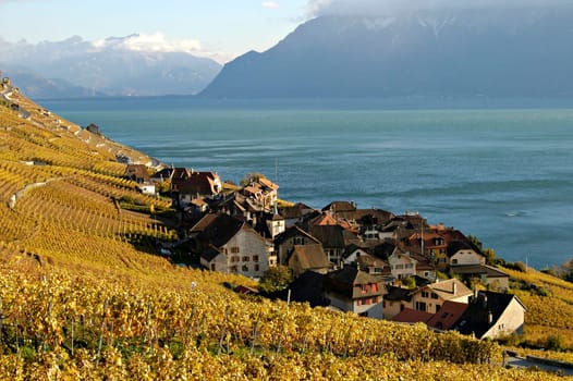 Autumn at Lac Leman,Switzerland