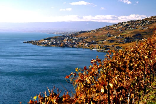 In the Lavaux area at Lac Leman,Switzerland