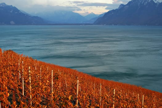 Autumn at Lac Leman,Switzerland
