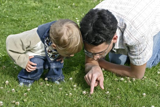 Father shows son a bee in the garden