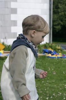 Boy looking at a clover flower