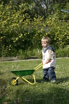 Boy driving the wheelbarrow through the garden