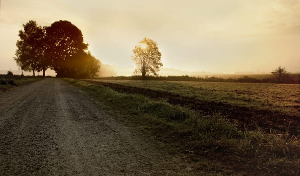 Walking on old paths