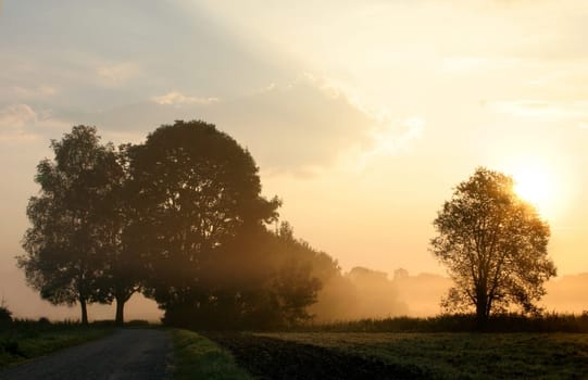 Erdinger Land in the morning mist