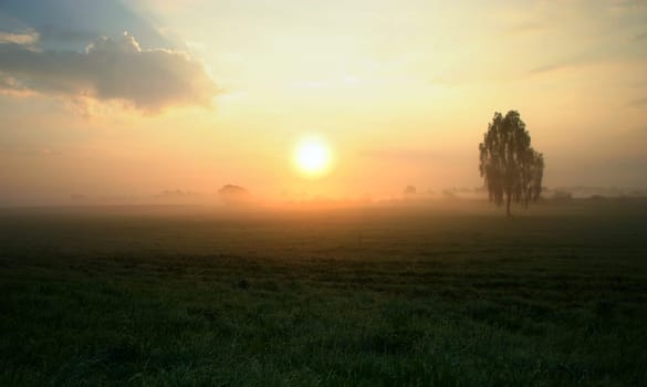 Yes,I got up today (Saturdays!!) at 6:00 a.m. and it was worth it for me!