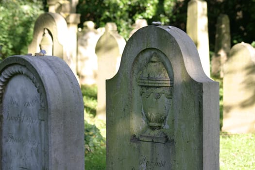 Jewish Cemetery 3