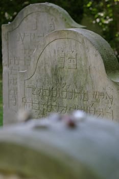 Jewish Cemetery 7