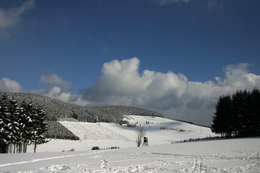 Winter