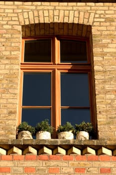 Windows 05