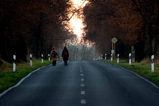 Way home 03