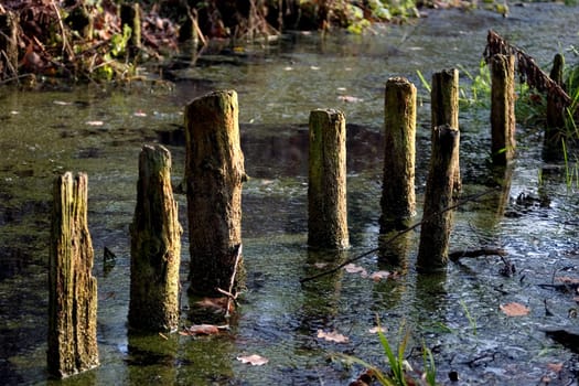 Piles 02