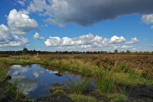 Taken on holiday during a bike tour through the heath near Schneverdingen
