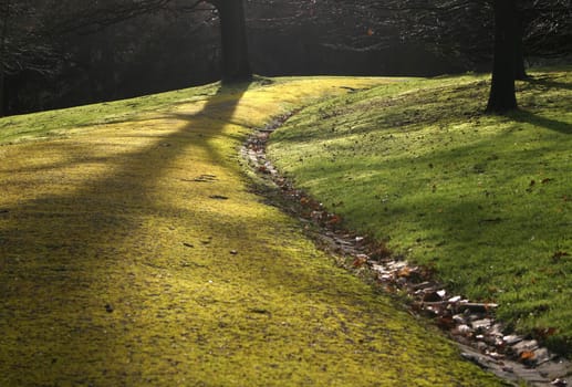 Plays of light