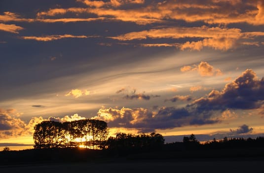 Ember sky