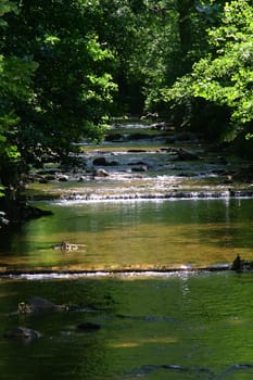 Stream