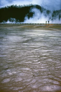Created in May 1989 in Yellowstone National Park. The trees in the background are still black from last year's forest fire. Pentax MX,scan of slide.