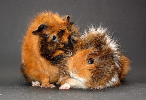 Togetherness