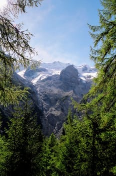 View of the Ortler massif