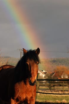 I know the image design is not ok,but I didn't want to withhold it from you... You already know the rainbow of course Goli -) Ps. the so-called lint is rain...