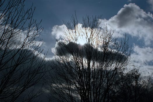 The snow clouds loomed menacingly