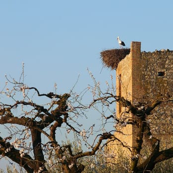 Created in February 2005 near Lerida,Spain. Minolta Dimage 7i