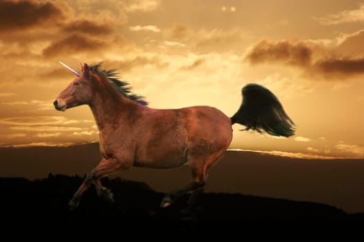 who says that unicorns must always be white. here's the proof I played a bit with PS -)