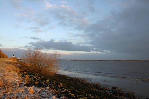 In the morning on the Elbe