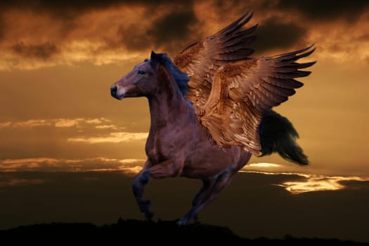 After the unicorn,Pegasus is not to be missed