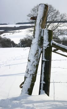 Fence posts...