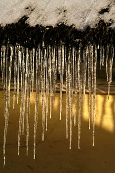 Ice age