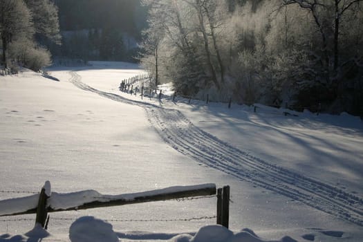 A cold winter morning