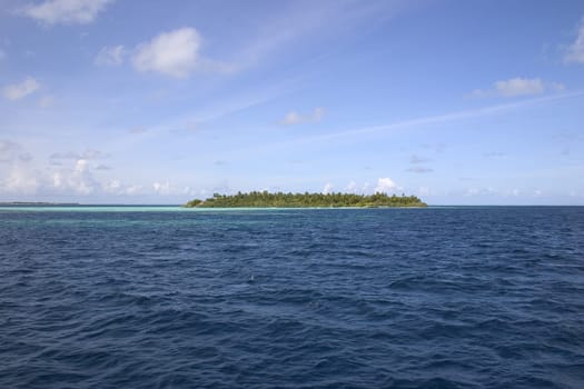 in the middle of the sea III