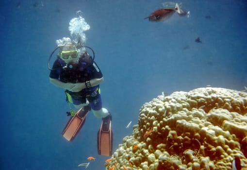 Divers at Reef IV