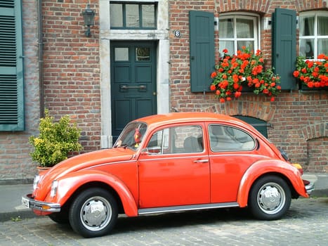 Beetle