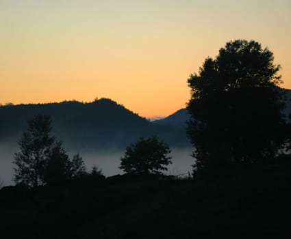 Created in October 2004 near Dahn in the Palatinate. Nikon D70,Cosina 100/3.5